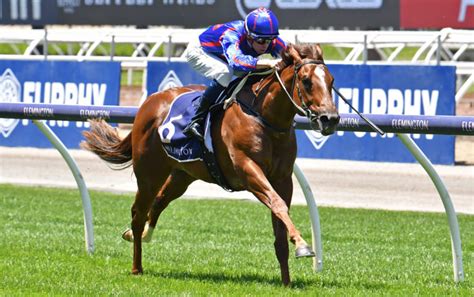 2021 moir stakes|2021 Moir Stakes Field & Odds Update .